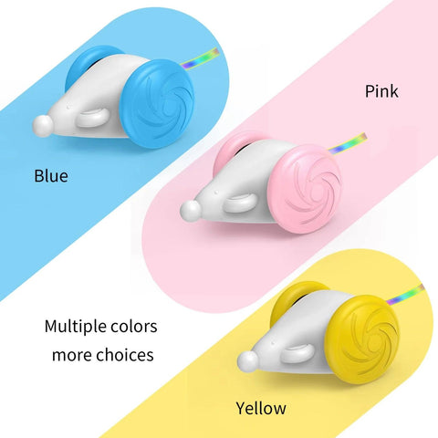 Runmouse - Automatic  Interactive Training