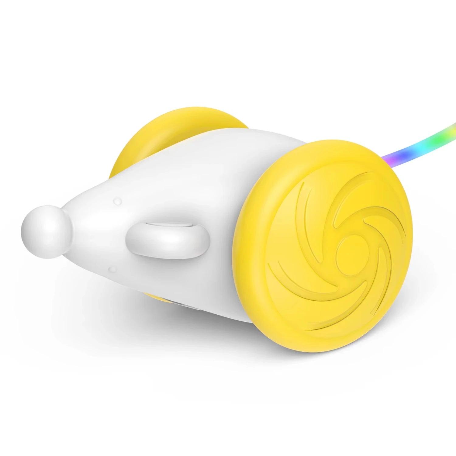 Runmouse - Automatic  Interactive Training